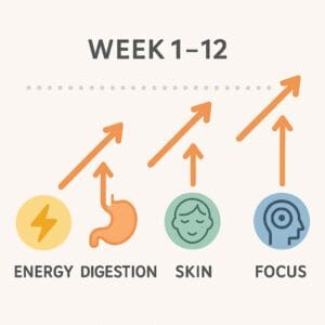 20250912 2034 12 Week Progress Infographic simple compose 01k4z78fyfe53t8nakh0a6sp7b