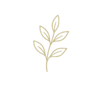 Calm Leaf